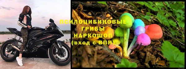 крисы Алзамай