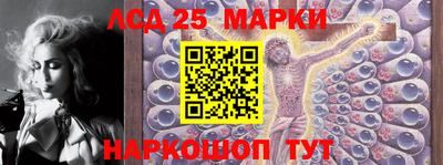 винт Донецк