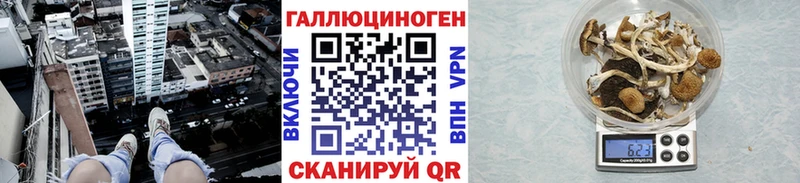 Галлюциногенные грибы Cubensis  Мичуринск 