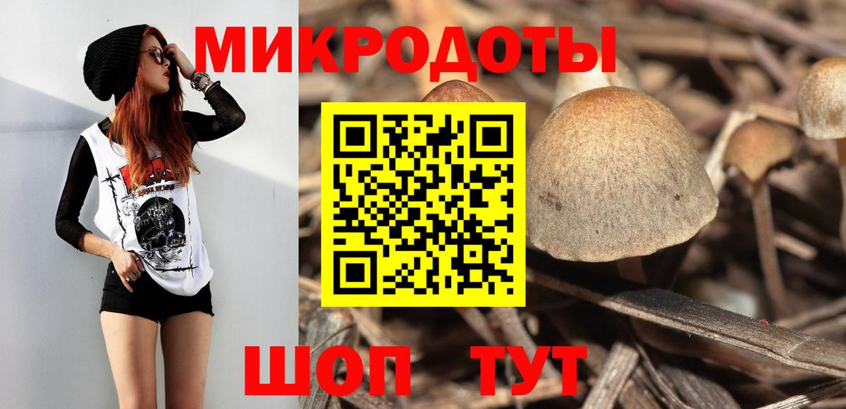 Галлюциногенные грибы Magic Shrooms Мичуринск