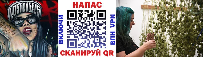 МАРИХУАНА ГИДРОПОН  где можно купить наркотик  гидра ссылка  Мичуринск 